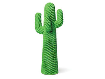Cactus Guffram